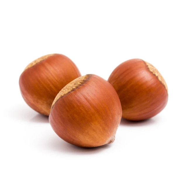 
ORGANIC Hazelnuts paste for sale Hazelnut Paste Oregon Shelf Life 24 Months No. 1 Grade Kosher And Halal Certified 