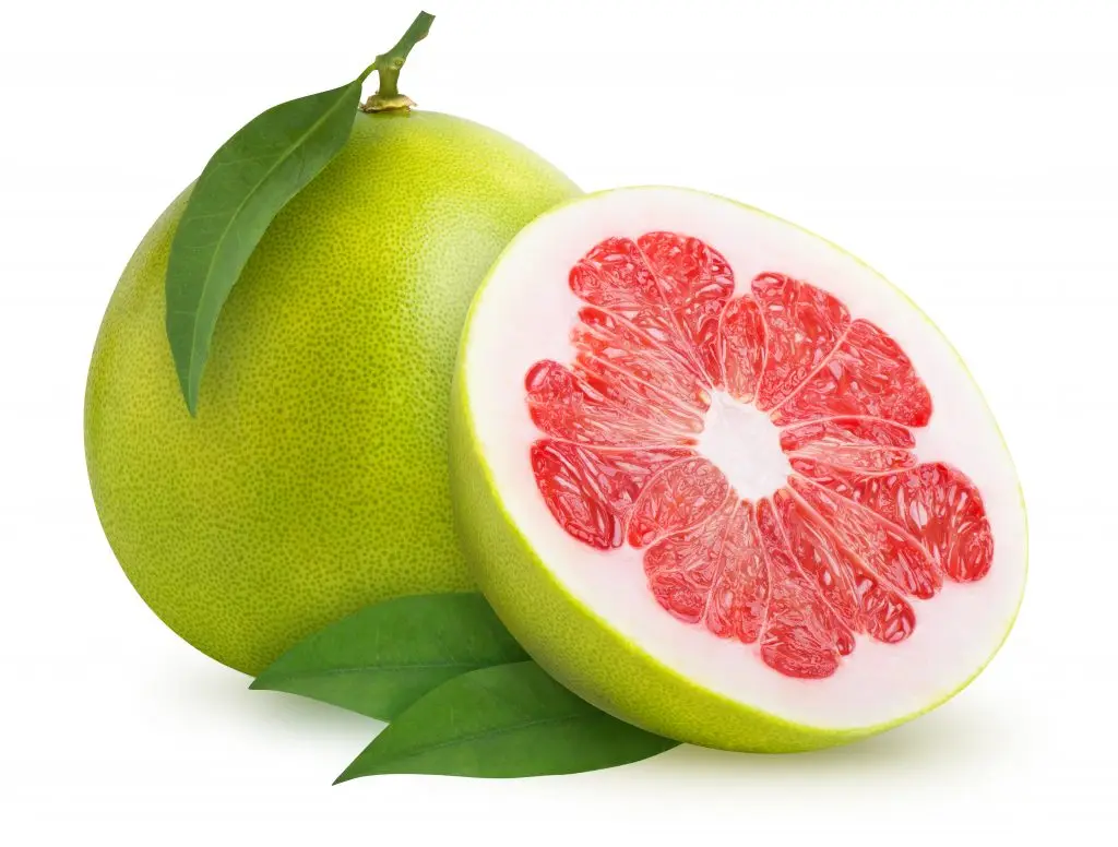 Top Fresh pomelo (class 1) - Green skin pomelo - Organic Fresh Green Pomelo ,Citrus fruit VietNam