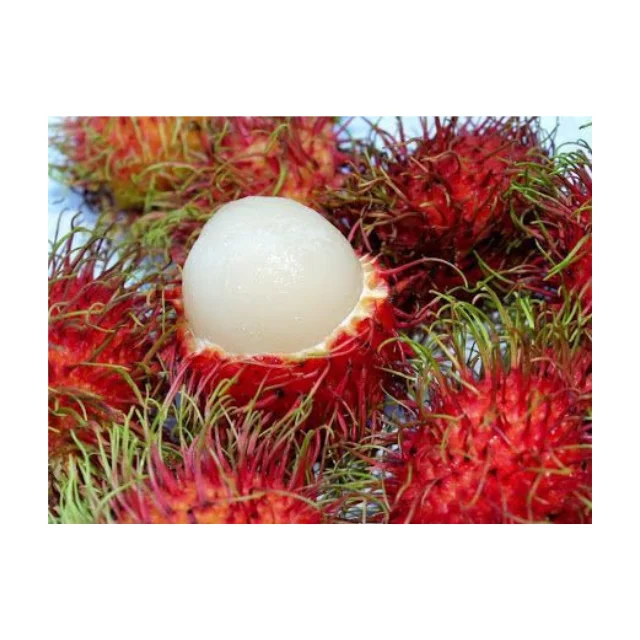 Fresh Rambutan Fruit, Natural Sweet Tropical Fruit From Thailand Best Price Wholesale High Quality