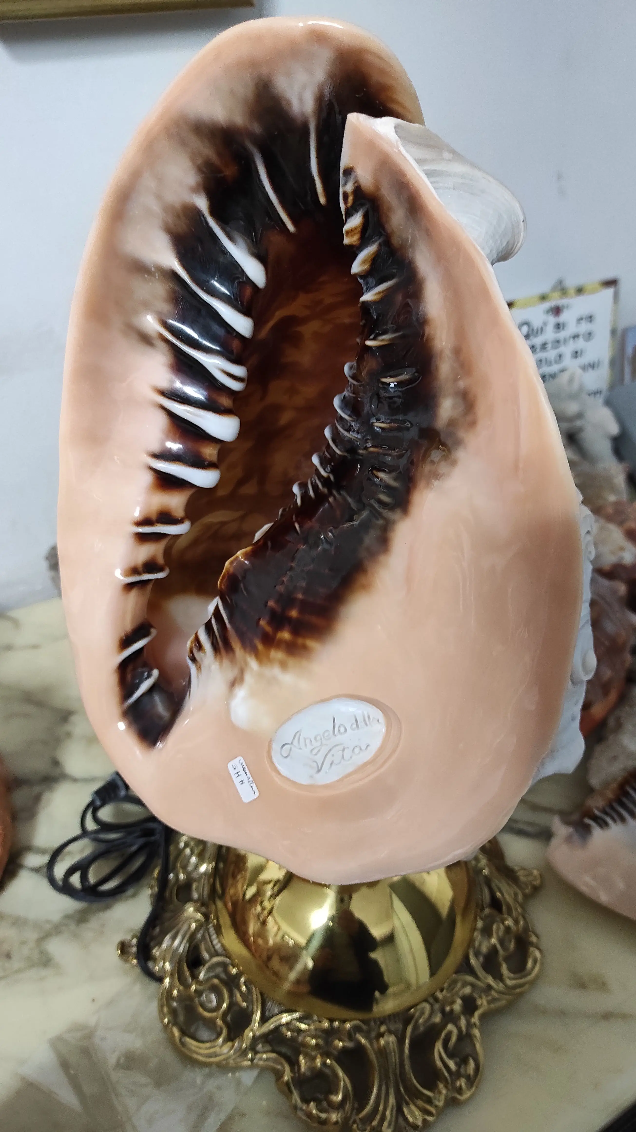 Loose Handcarved Sardonyx Shell Cameo from Torre Del Greco Italy Natural camafeo full shell carving customizable