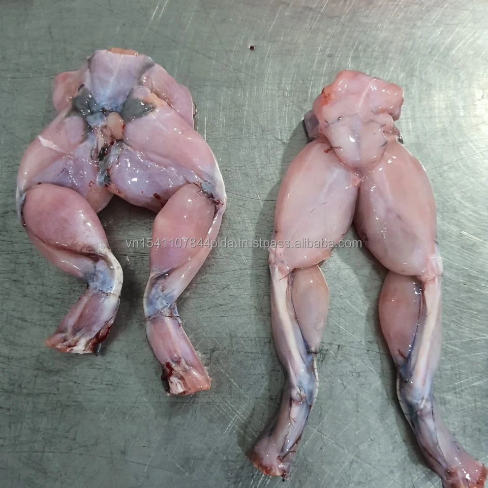 Price for seafoods and frozen food bull frog legs from Best supplier