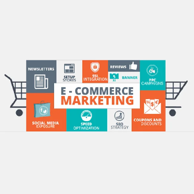 
Website Development, Software Development, Website Maintenance 