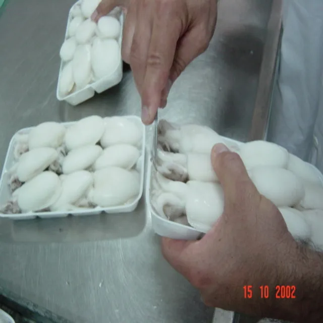 
VIET NAM FROZEN WHOLE CLEANED CUTTLEFISH ISO/HACCP 