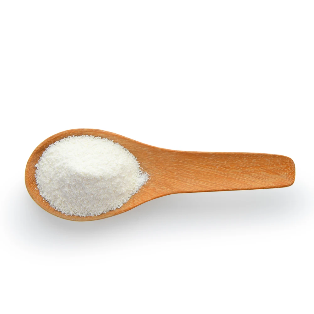 Best Selling Made of Organic Coconut Organic Instant Coconut Milk Powder Creamer Wholesale Price HALAL HACCP Certified