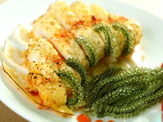 Органический дегидратированный и маринованный морской виноград вubi 100% от поставщика из Вьетнама