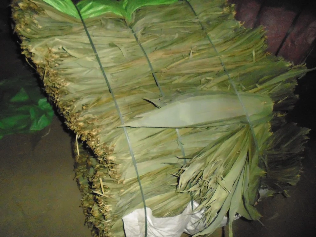 Dried bamboo leaves for cake from Vietnam , contact +84984418844