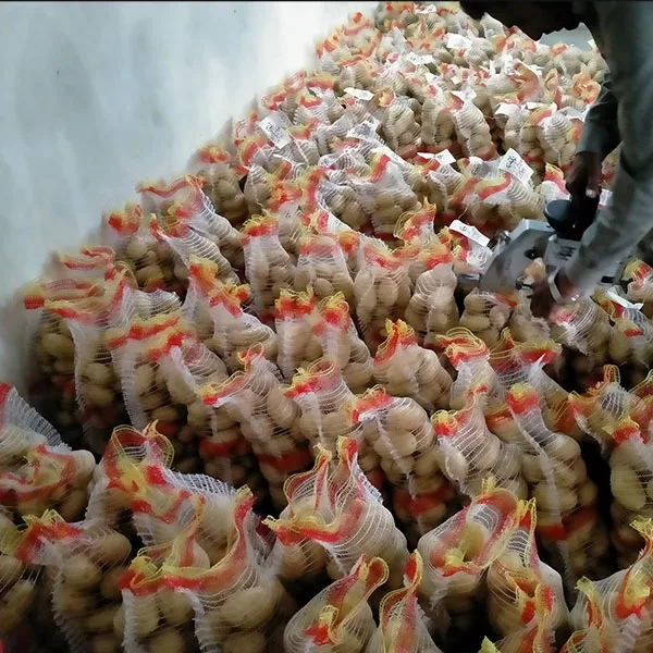 Fresh Holland Potato in Mesh Pack