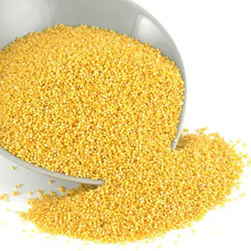 
Foxtail Millet 