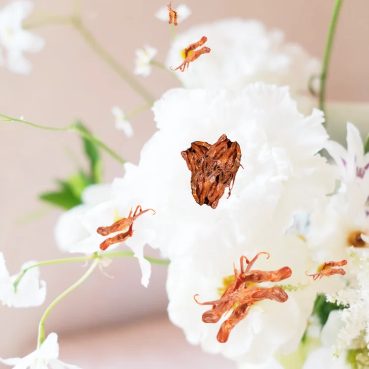 PRO IN JEONJU koreanduck feet tongue wings neck head