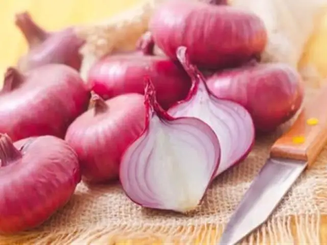 Fresh Red Onion- Onion Fresh High Quality  Whatsap 0084 989 322 607