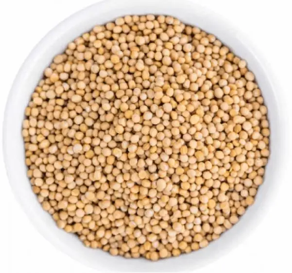 Great Quality Export Oriented Yellow Mustard Seeds Pre-packed Or In Bulk, Wholesale Price From Bangladesh