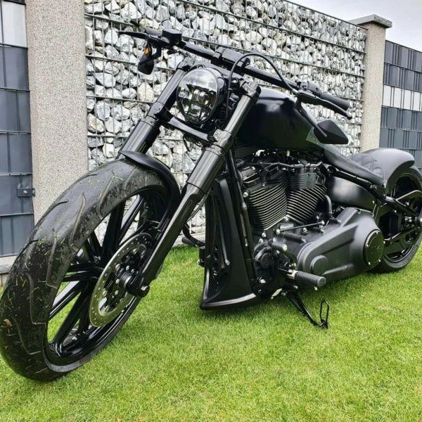 
Har ley-Da vid son Break out 114 