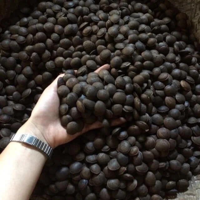  Оптовая поставка высококачественного натурального масла сачи по лучшей цене Ms Elaine + 84 375 431 541 (whatsApp)