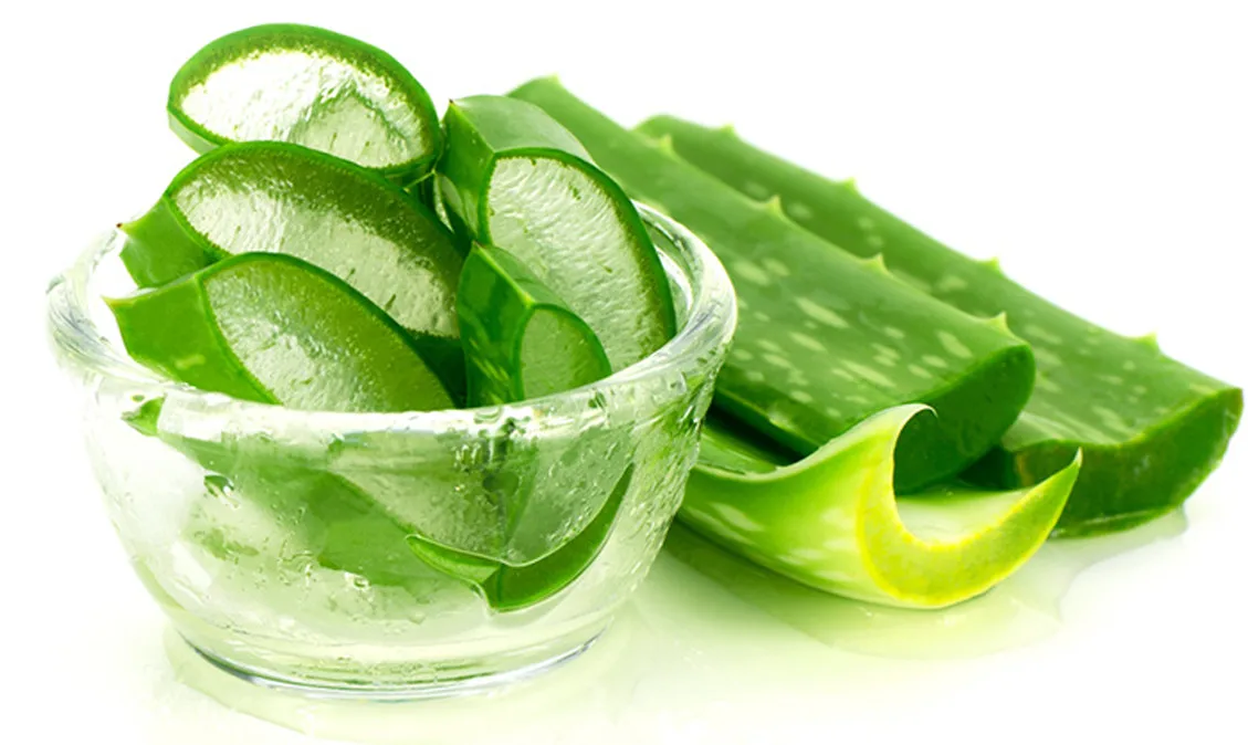 Органический гель алоэ вера-100% зрелый экстракт вера-здоровый напиток Алоэ Вера из Вьетнама с частью листьев