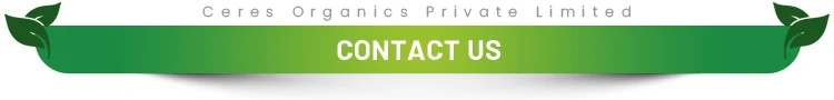 Contact-Us-t.jpg