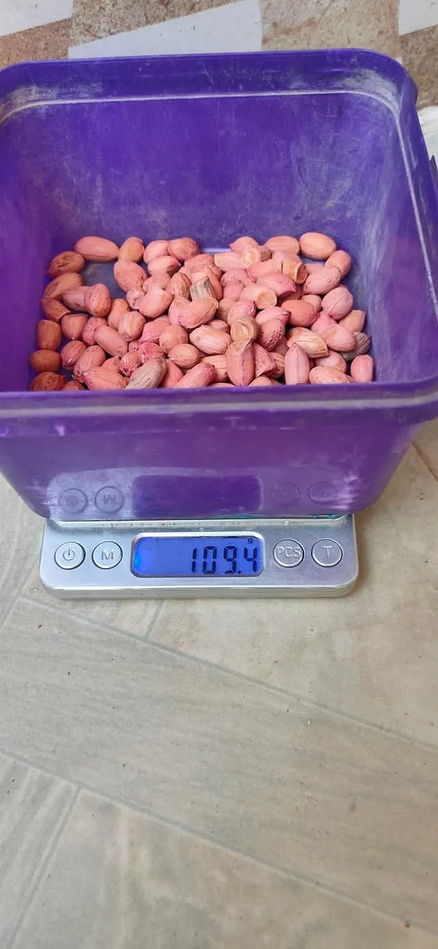 Red Skin Peanuts
