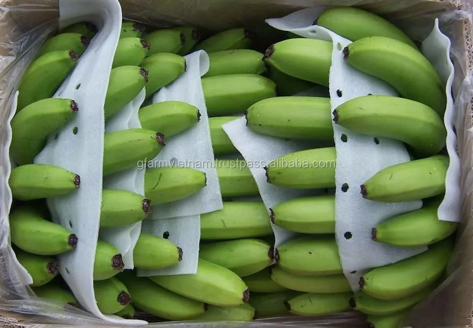 
Fresh banana puree price in UAE INDIA PHILIPPINE product 2020 