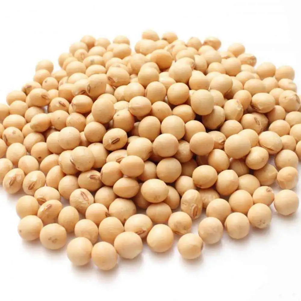 Yellow Soybean / Non GMO Soybeans