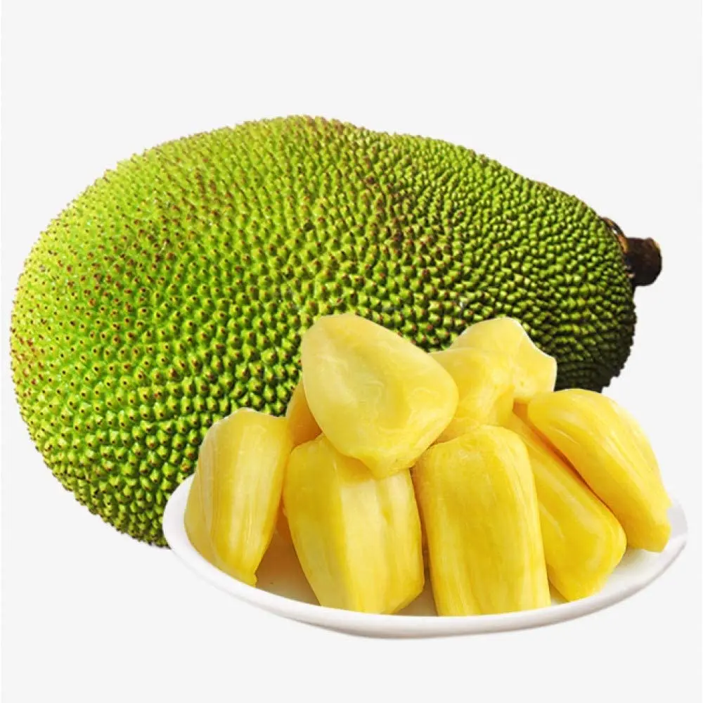 10/15/20/30 kg No Chemicals Top Wholesale Sweet Taste From Vietnam Fresh Jackfruit