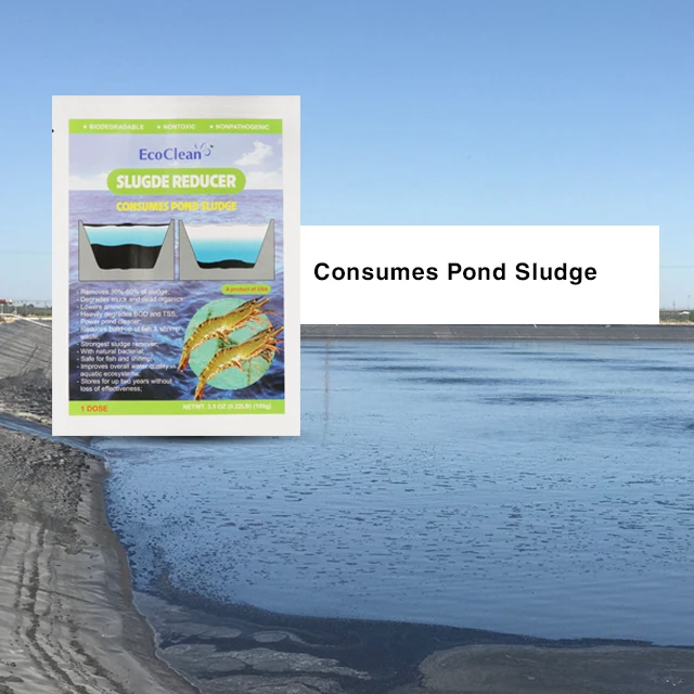 Экологически чистый шламовый редуктор, 12 упаковок, 100 г в упаковке, потребляет осадка в пруду