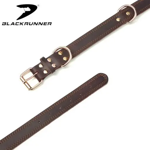 Elegant Leather Dog Collar