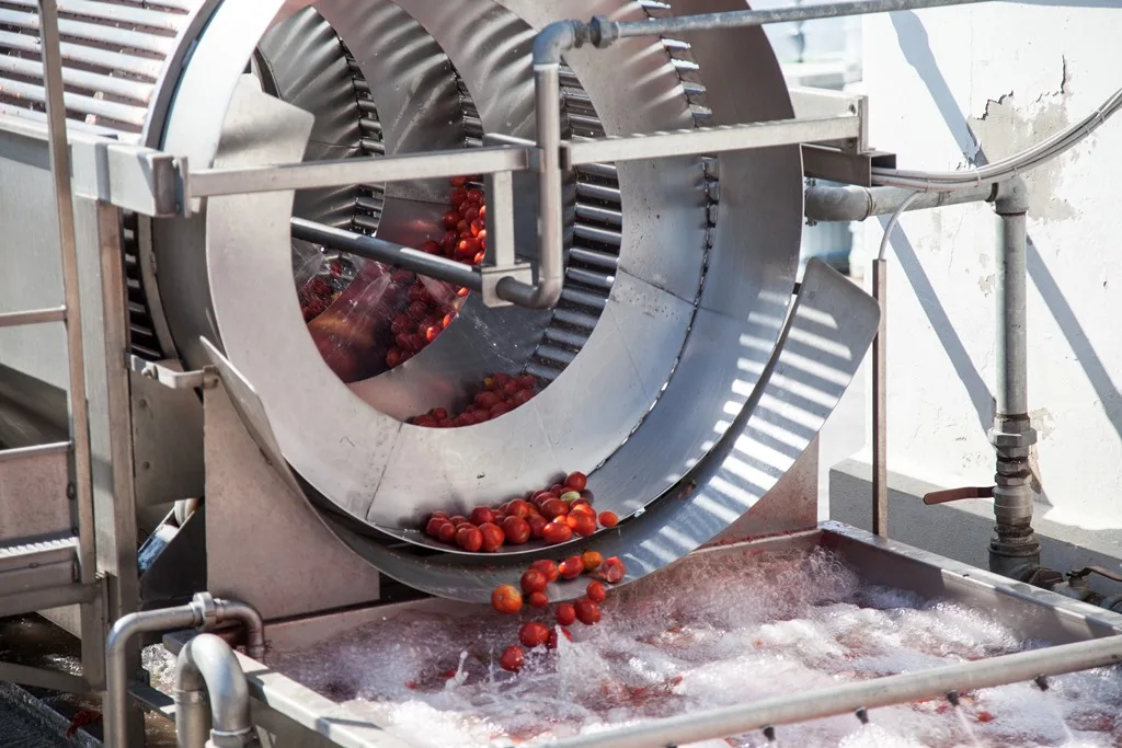 Top Quality Italian Organic Tomato Paste | glass 420g