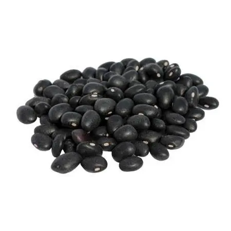 100% Organic Dried Black Kidney Bean Vietnam Top Quality Kidney Bean Dry Black Beans From High Quality Soil