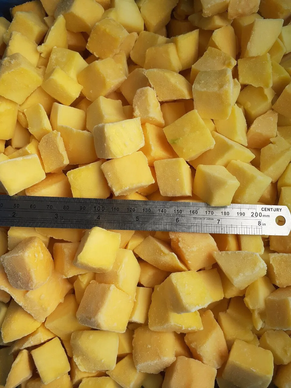 
FROZEN MANGO (KAEW) WITH PREMIUM QUALITY FROM VIETNAM 