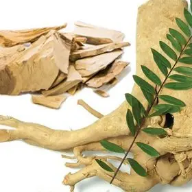 TONGKAT ALI DRY - Eurycoma Longifolia Ms Holiday +84-845-639-639