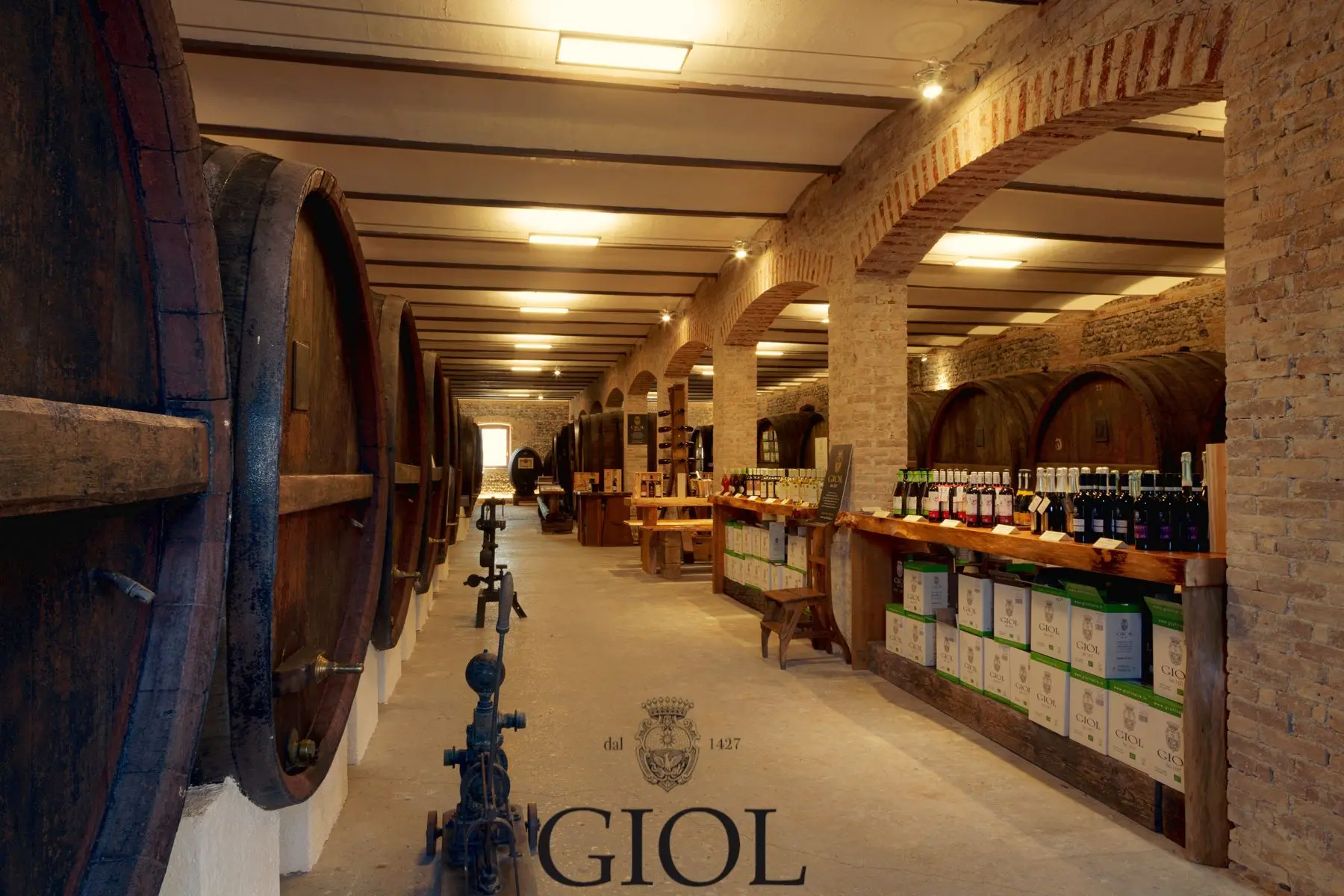 Italian No Added Sulphites Organic Pinot Gris Dry White wine 75 Cl for Aperitif and Dine