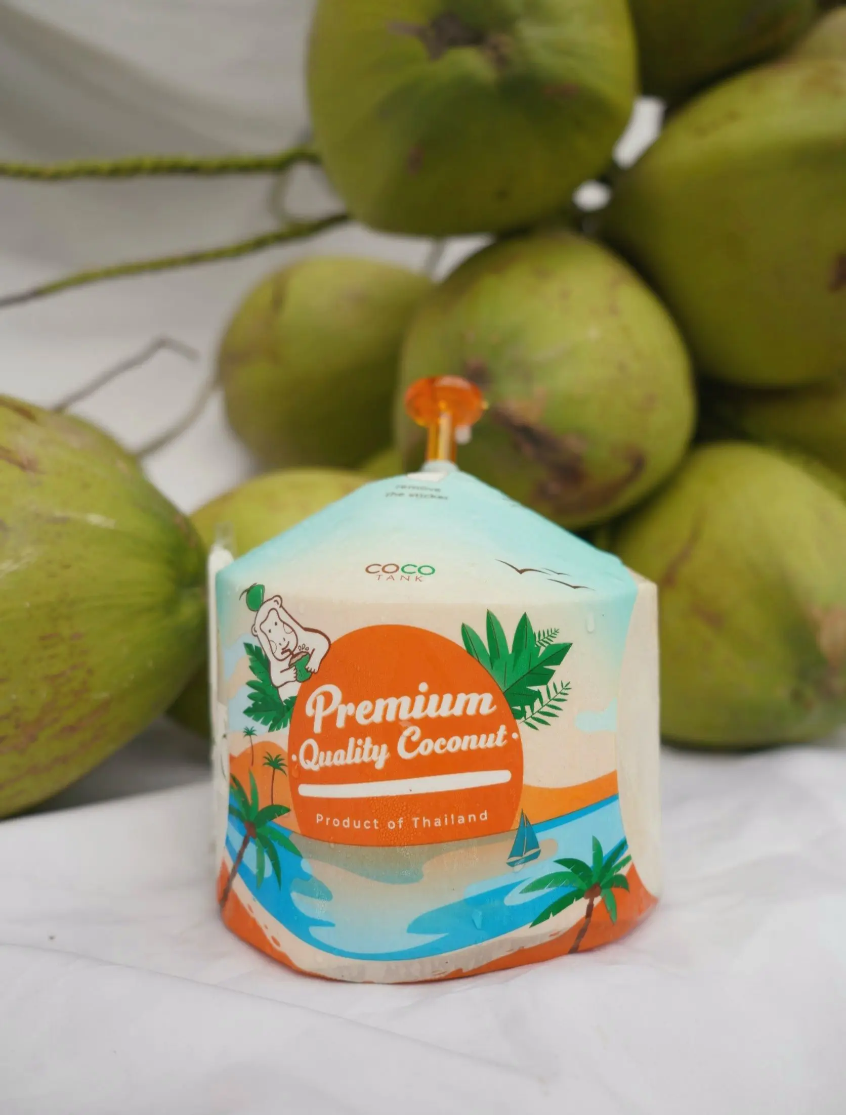 (Easy open) Premium Fresh Coconut From Thailand
