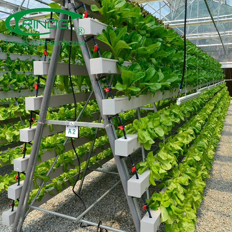 Trinog greenhouse NFT system Vertical A shelf hydroponics lettuce growing slot for greenhouse