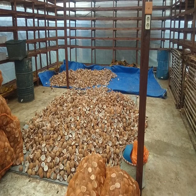 Best Selling Coconut White Copra Edible 4-9 cm Origin Indonesia