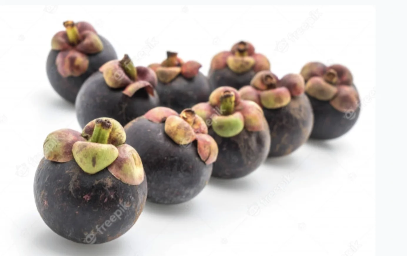 Fresh Natural MANGOSTEEN Premium Grade From Thailand