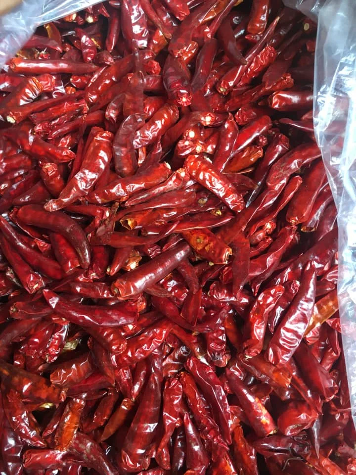 Красный горячий чили перец сухой красный