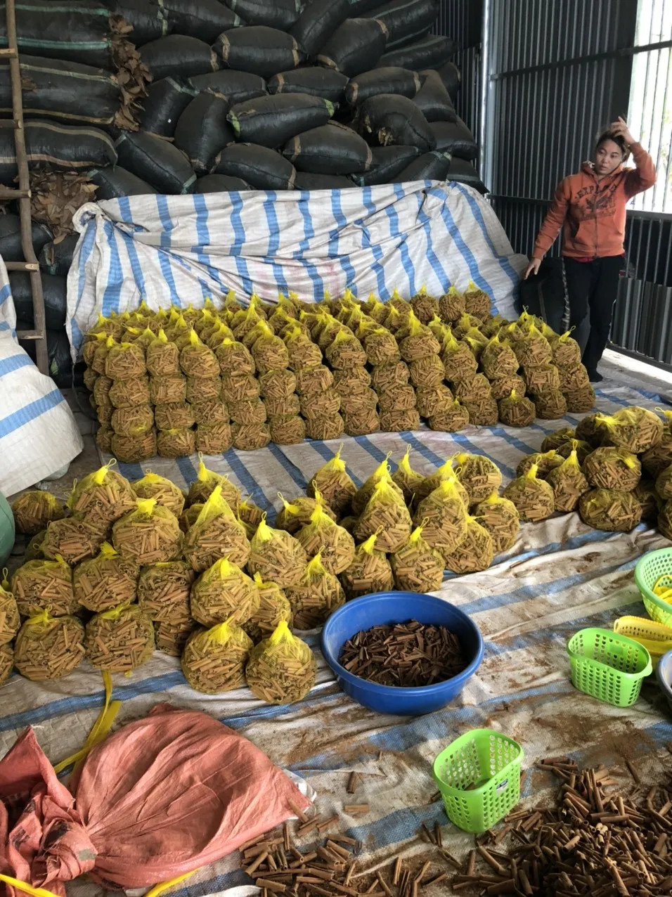 Paus De Cannela/ Cannela En Rama/ Cannella in Bastoncini New Crop 2022