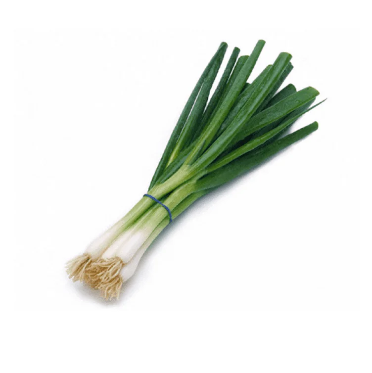 
Wholesale Dealer Of Fresh Vegetables Scallions Large Stock Available 