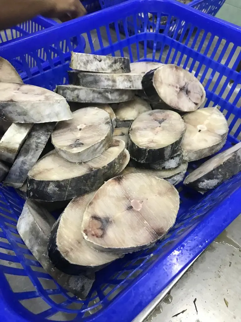 2022 Scomberomorus Guttatus Fish (120-150 gm/pc) Bulk Packing 10 kg/ctn Frozen Spanish Mackerel Steak Cut