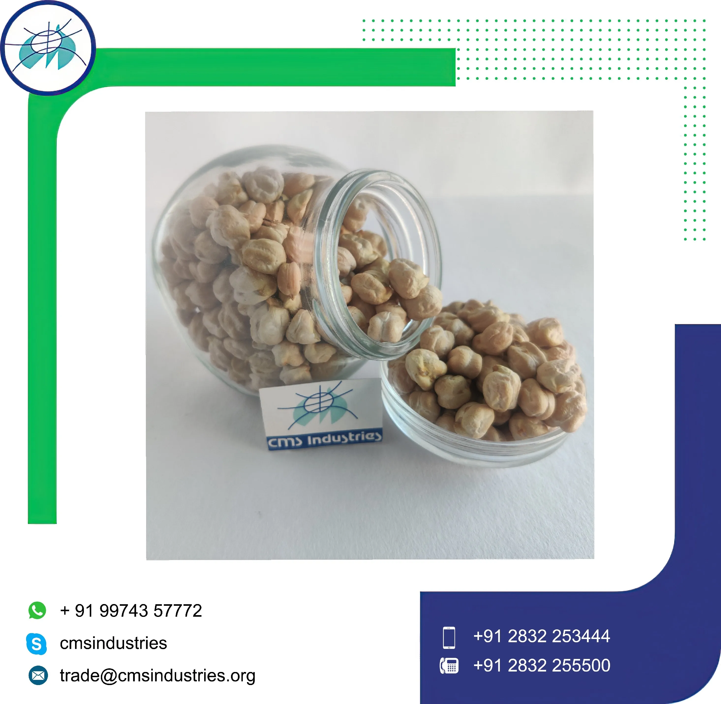 Naturally Extract Chick Peas of Leading Supplier