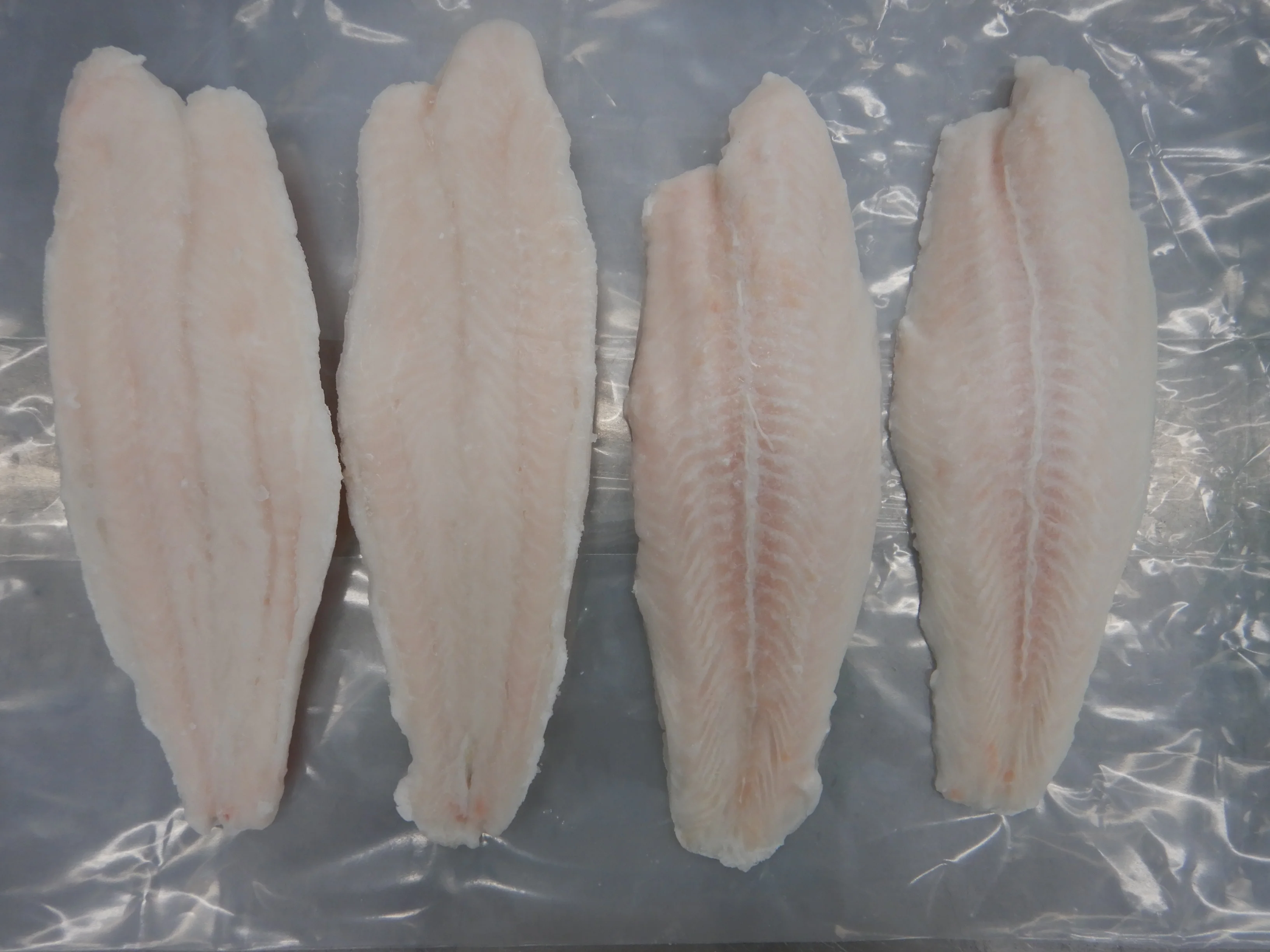 Supplier Quality Frozen Pangasius/ swai/basa Fish Fillets with premium frozen at Competitive Price
