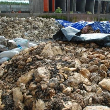 
Best Price 100% Raw Rubber Cup Lump High Quality 