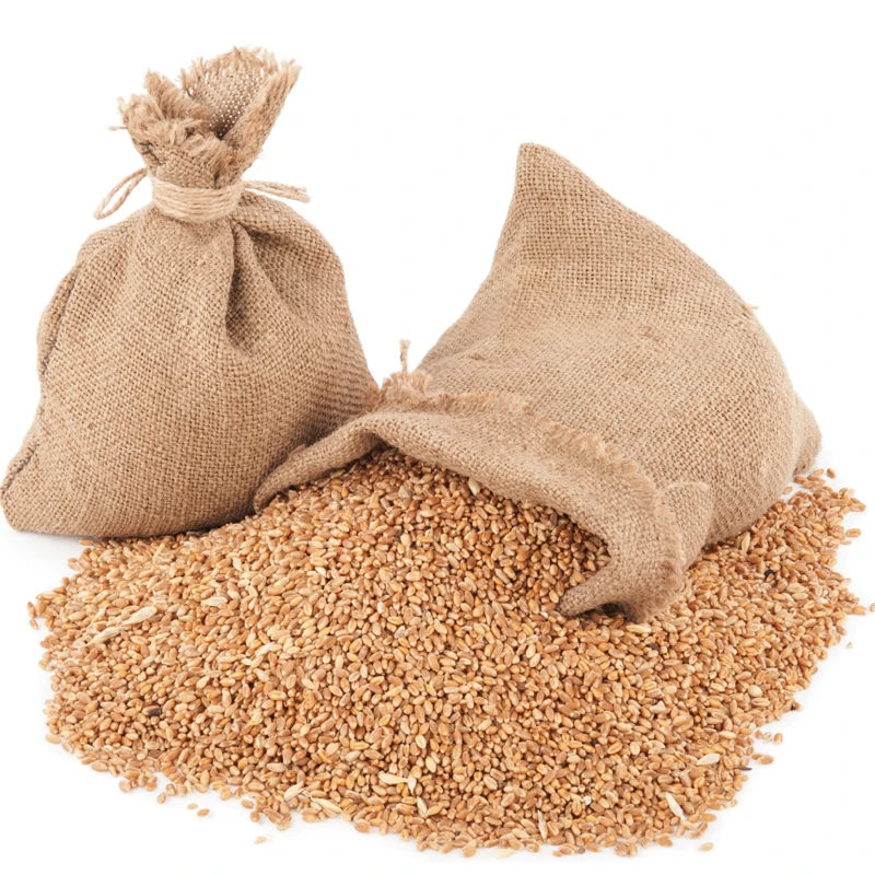Top Quality Wheat Grains /durum Wheat In Bulk Supply