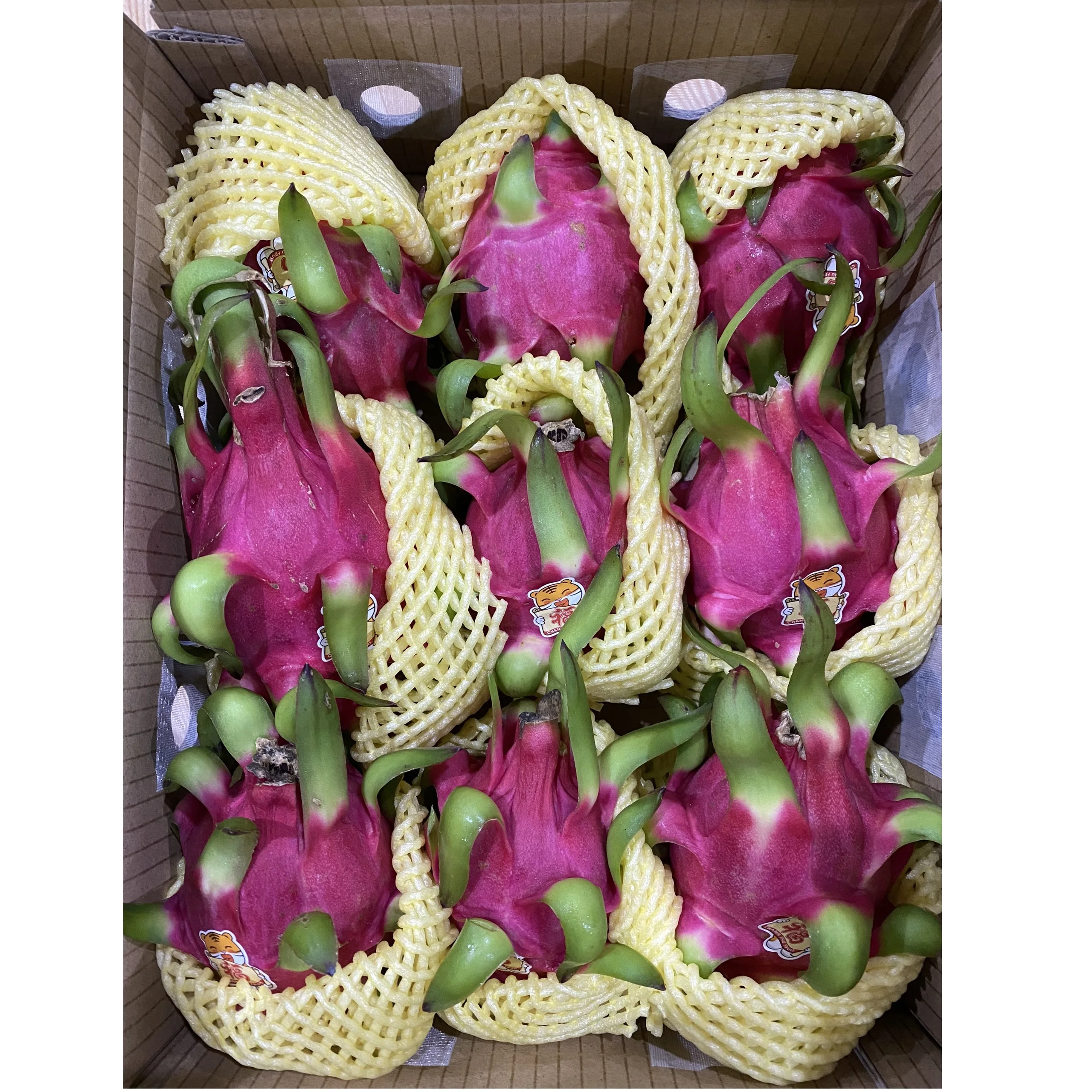 Лучший продукт, красный/белый цвет, 24 месяца, фрукты замороженного дракона со вкусом на каждый год, экспорт из Вьетнама