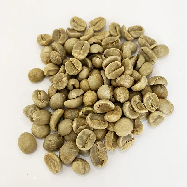 Price of raw coffee beans common coffe beans drinking robusta coffee bean