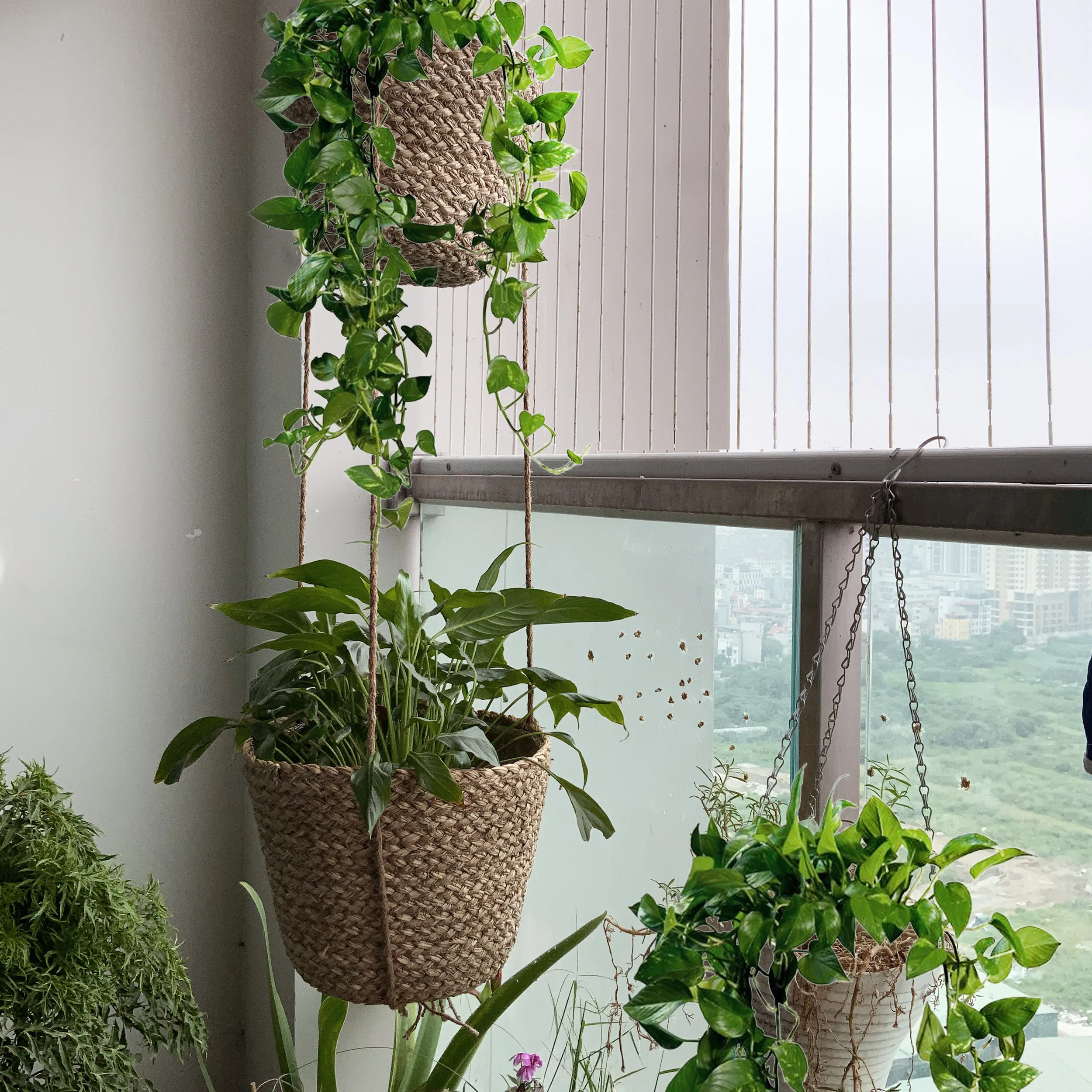 Лидер продаж 2021 подвесные кастрюли ручной работы корзина из морских водорослей держатель для цветочного горшка дома окна патио кухни ванной комнаты крыльца