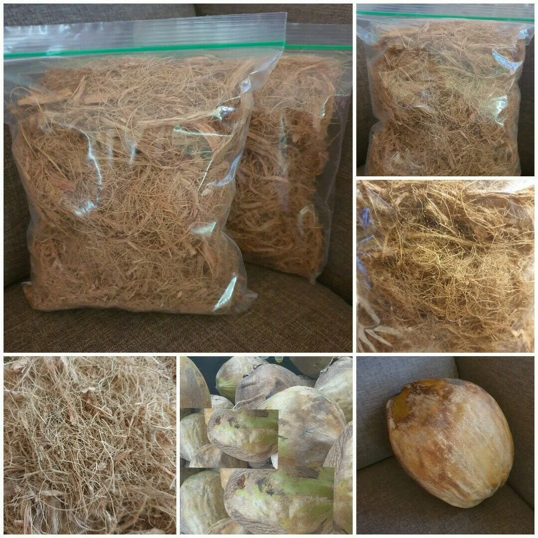 
Best Quality ever Natural HIGH QUALITY COCONUT LIGHT FIBRE BULK IN ALL COLOURS 