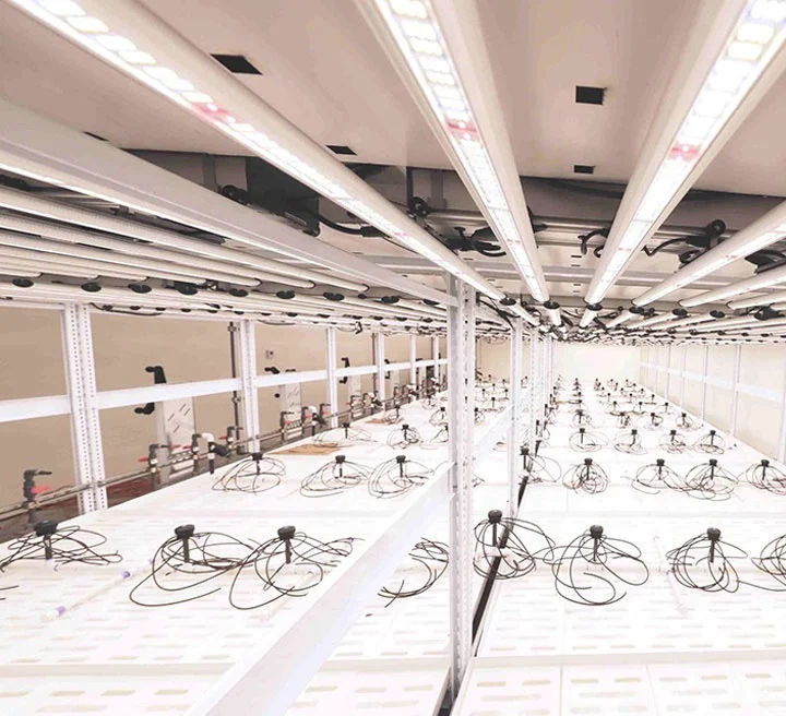 
Hydrophobic Growing lights,Gunduz 345w 600w 1280 w leds lm301h lm301b 3500k 660nm Spyder x 2p Vypr led Grow Light 