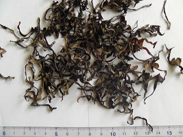 Japan quality 2 year Cultivated edible dried black fungus on trees