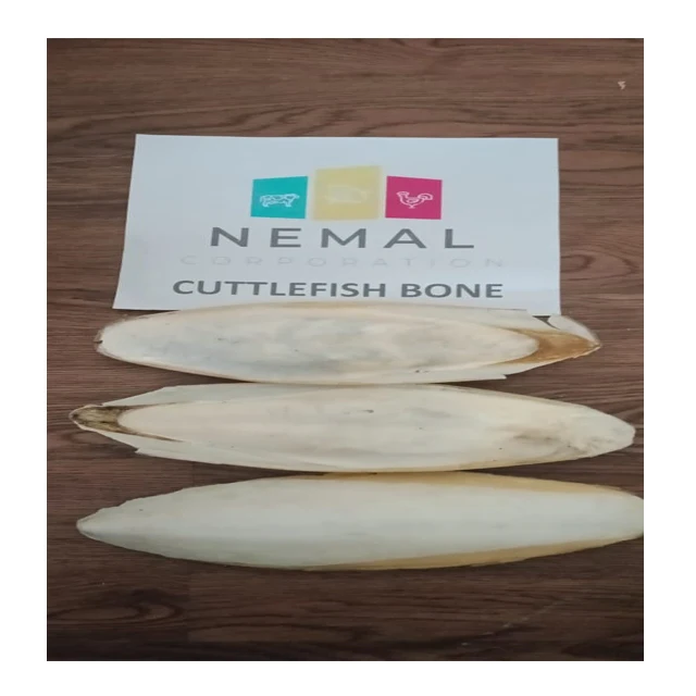 
High Quality Dry Cuttlefish Bone Pakistan Origin 