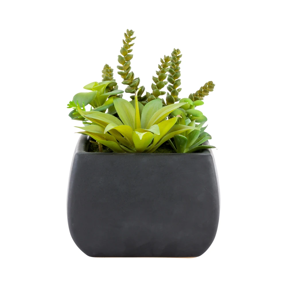 
Plastic Table Art Faux Succulent Arrangement - Tetra Porcelain Planter, Black - 6